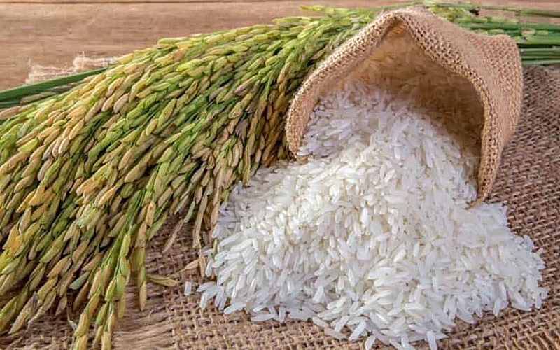 Giá lúa gạo ngày 29/5: Duy trì ổn định