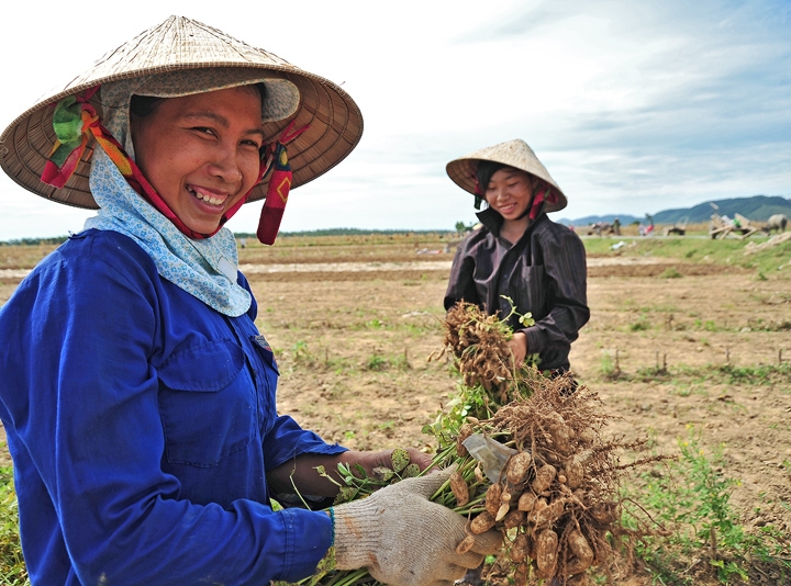 Việc làm cho phụ nữ nông thôn - Báo Nhân Dân