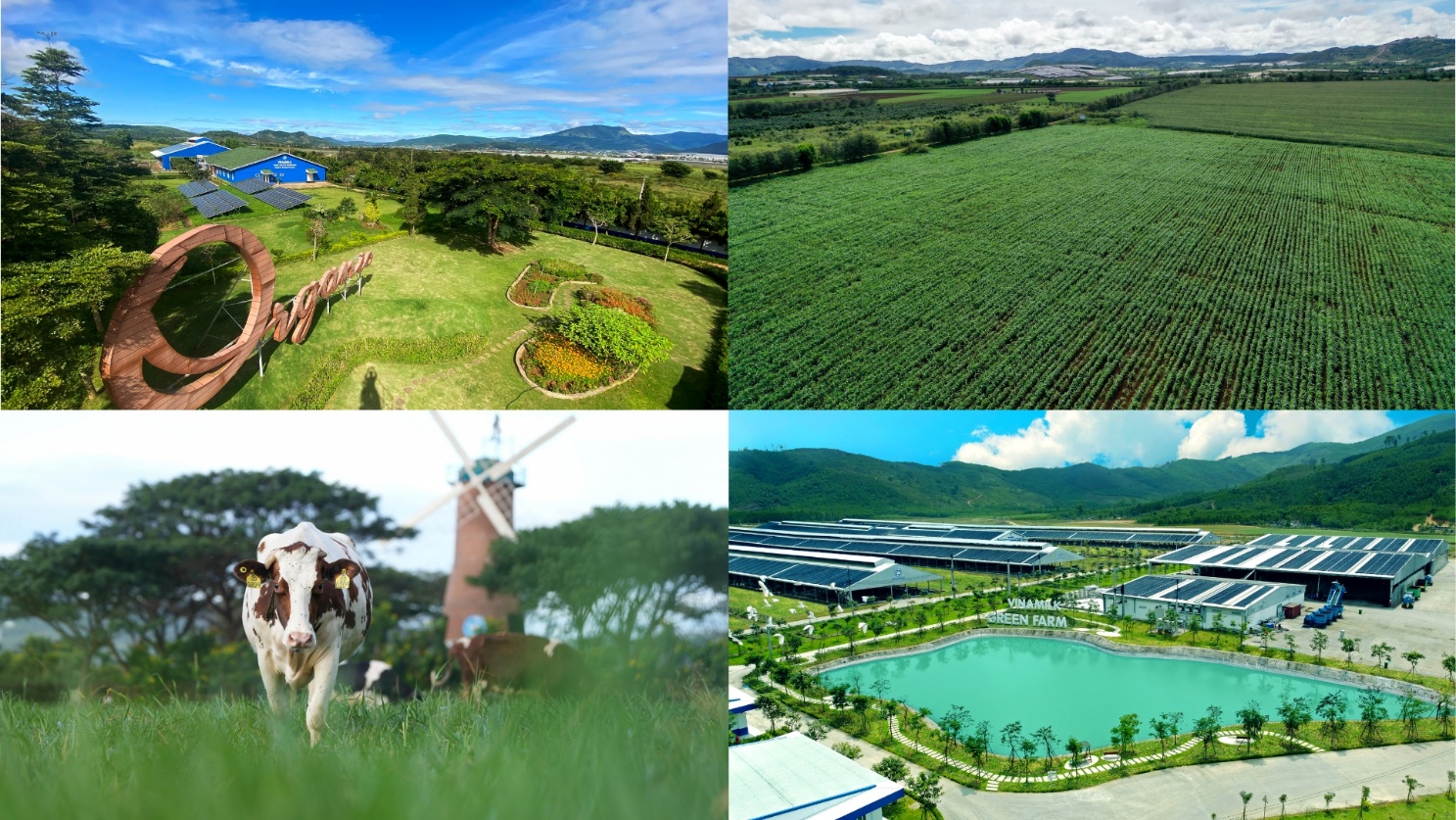 A collage of different images of fields and buildings

Description automatically generated
