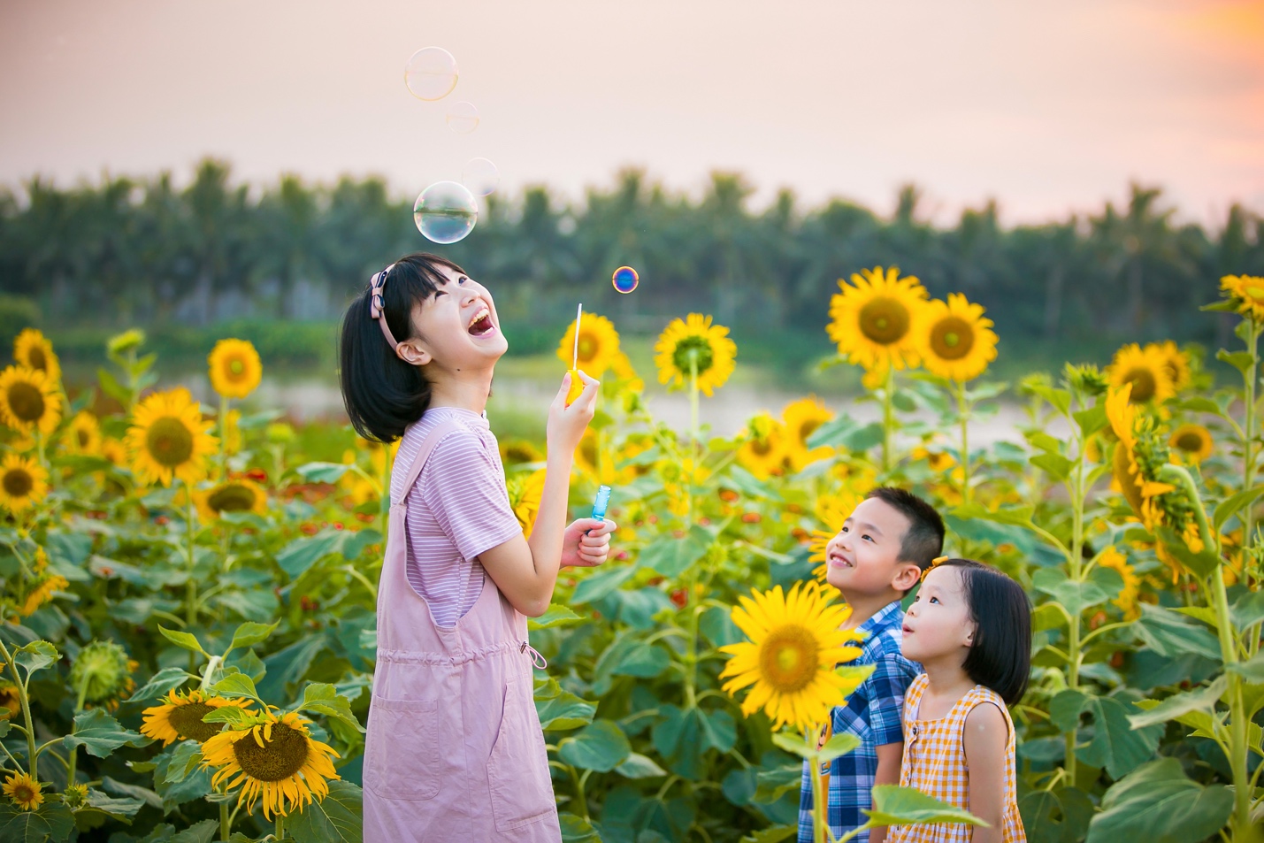 A person and two children in a field of sunflowersDescription automatically generated with medium confidence