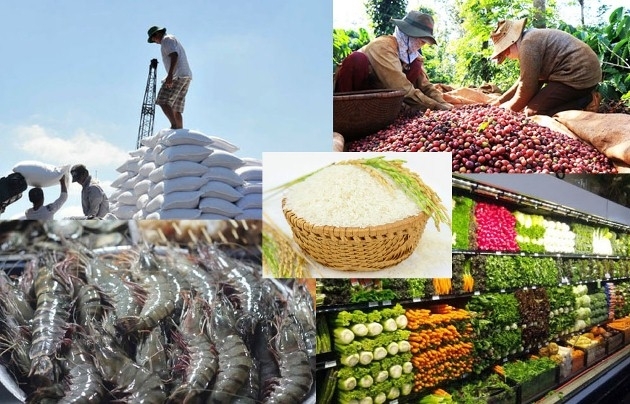Thúc đẩy xuất khẩu nông sản Việt Nam trong bối cảnh Covid-19 | Tạp chí Kinh  tế và Dự báo