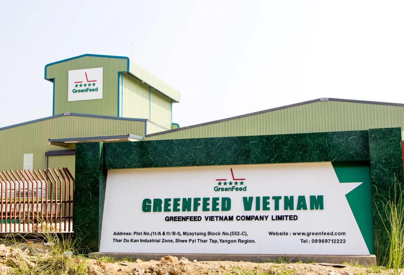 Greenfeed: DN thức ăn chăn nuôi có lợi nhuận vượt Dabaco, Masan Meat Life.