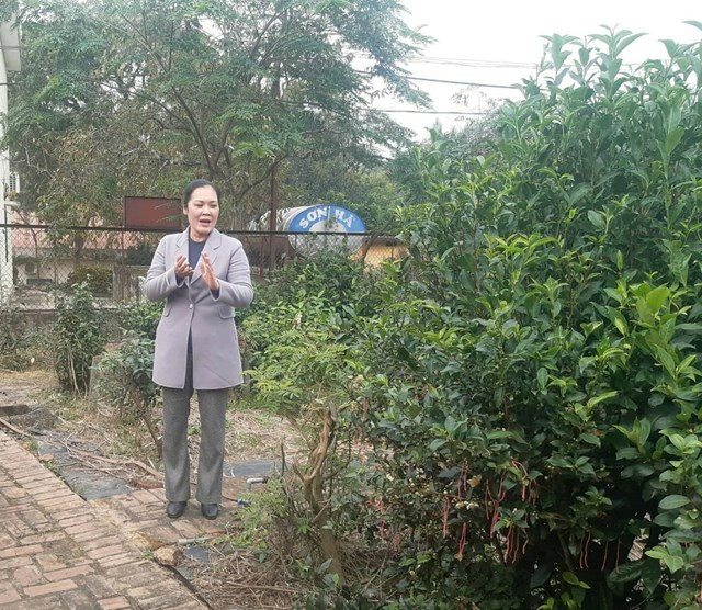 TS. Nguyễn Thị Hồng Lam trao đổi với phóng viên tại Khu vườn quỹ gen giống chè của Trung tâm có tổng 230 nguồn gen được lưu giữ. Ảnh: Sơn Thủy