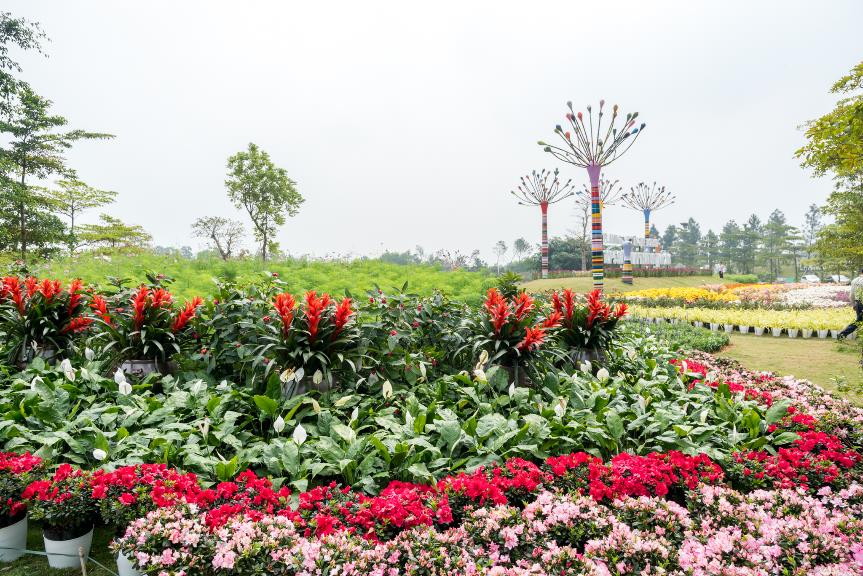 C:\Users\Phuong Anh\Desktop\Halong\flamigo2.jpg