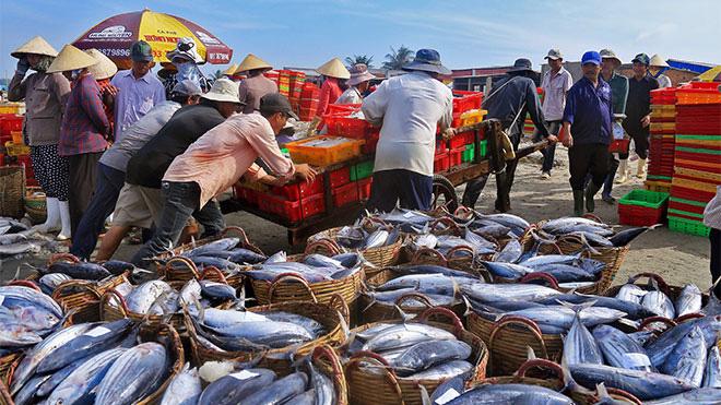 Xuất khẩu hải sản đạt trên 920 triệu USD trong quý đầu năm