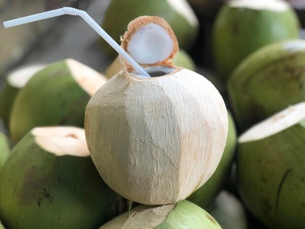 3 tiêu chuẩn bạn cần biết khi xuất khẩu dừa sang Châu Âu