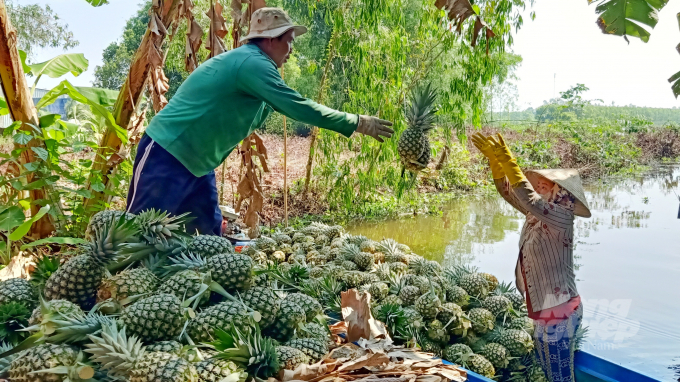 Chìa khóa' tăng khả năng cạnh tranh cho nông lâm thủy sản Việt