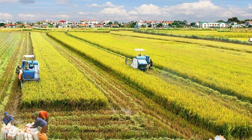 Thúc đẩy phát triển nông nghiệp, nông thôn bền vững vùng đồng bằng sông Cửu  Long - Báo Kinh tế đô thị
