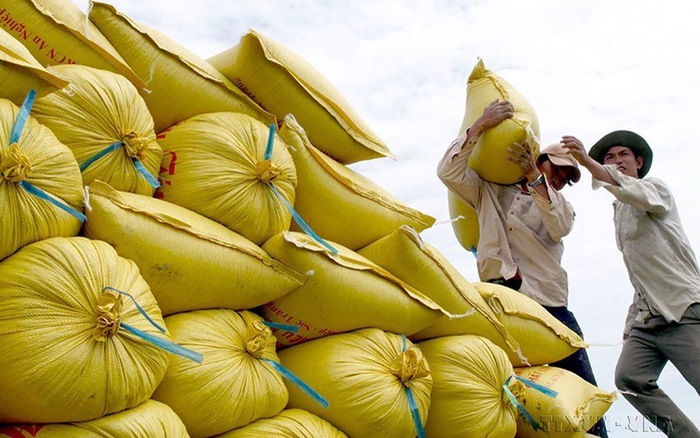 Xuất khẩu gạo tăng mạnh tháng đầu năm | VTV.VN