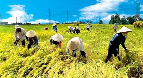 Làm thế nào để nông dân có thể trở thành chủ thể đích thực của quá trình phát  triển nông nghiệp, nông thôn hiện nay? - Tạp chí điện tử Nông thôn