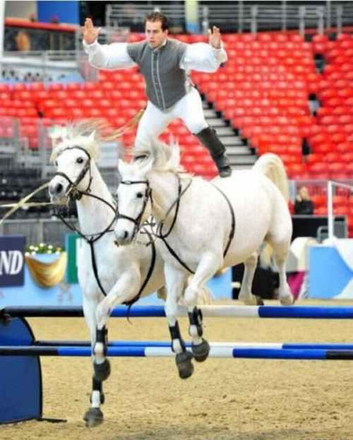 Hài hước những khoảnh khắc thể thao