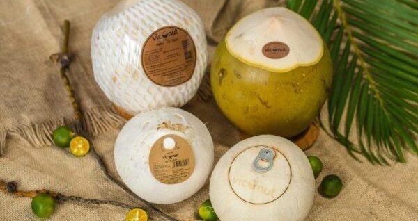 Phương thức bảo quản và cách đóng gói dừa xuất khẩu