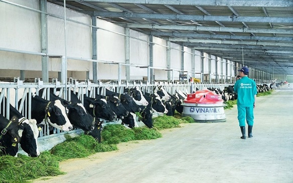 Vinamilk khẳng định chất lượng nguyên liệu sữa - Báo Nhân Dân