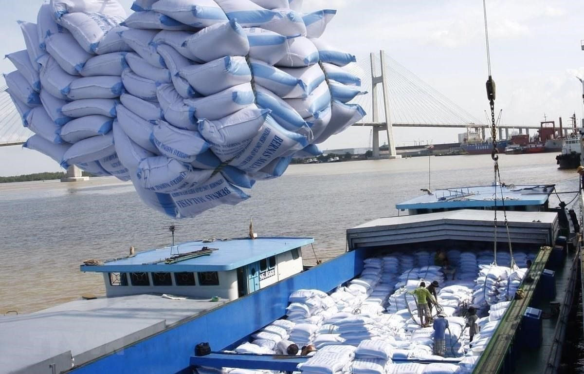 Tháng 5/2022, Việt Nam xuất khẩu 347 triệu USD gạo, tăng hơn 25%