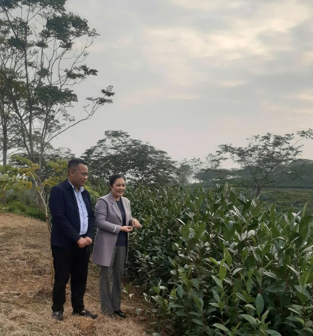 Phóng viên trao đổi với nhà khoa học TS. Nguyễn Thị Hồng Lam tại khu đồi chè trong khuôn viên Viện về việc nghiên cứu cây chè giống mới. Ảnh: Sơn Thủy