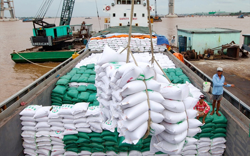 Giá gạo tăng cao nhất 3,5 tháng, xuất khẩu đi các thị trường chính dự báo  rất tích cực