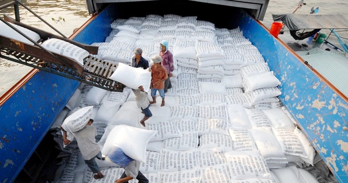 Xuất khẩu gạo đánh mất “cơ hội vàng”, doanh nghiệp tiếp tục khó khăn | Báo  Dân trí