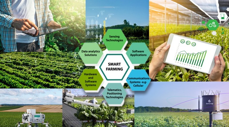 Tăng cường thúc đẩy Chuyển đổi số Nông nghiệp, phát triển nông thôn số |  Digitech Solutions