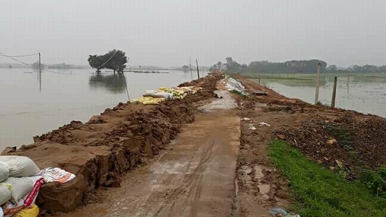 Mưa lớn tiếp diễn, hàng nghìn hộ dân ở Chương Mỹ đối mặt với ngập lụt Mưa lớn tiếp diễn, hàng nghìn hộ dân ở Chương Mỹ đối mặt với ngập lụt
