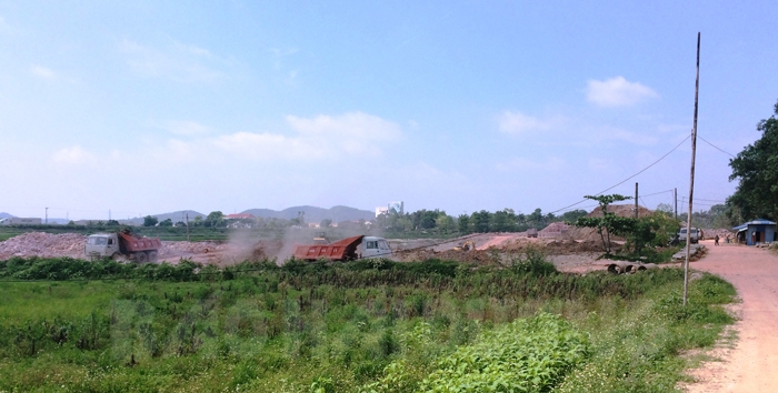 hai duong