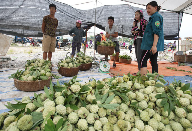 Huyện Chi Lăng đã bố trí hơn một hecta đất cạnh chợ Đồng Bành để làm nơi tập kết giao thương cho na. Na tại đây hầu hết bán buôn để đóng thùng đi khắp các tỉnh trên cả nước và xuất đi Trung Quốc. Trước kia, người dân thường họp chợ bên quốc lộ 1A khiến đoạn đường này thường xuyên bị ùn tắc khi vào vụ thu hoạch.