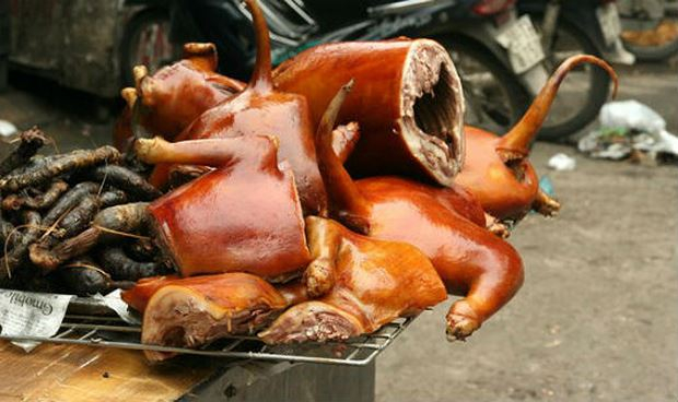 Hà Nội tuyên truyền phổ biến cho người dân hạn chế ăn thịt chó, mèo để phòng bệnh dại.