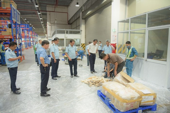 Gần 1 tấn vẩy tê tê, ngà voi trong 2 lô hàng đi máy bay về Việt Nam - Ảnh 1.