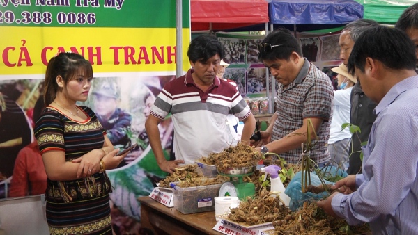 Phiên chợ sâm Ngọc Linh lần thứ 15 thu về hơn 4 tỷ đồng Phiên chợ sâm Ngọc Linh lần thứ 15 thu về hơn 4 tỷ đồng
