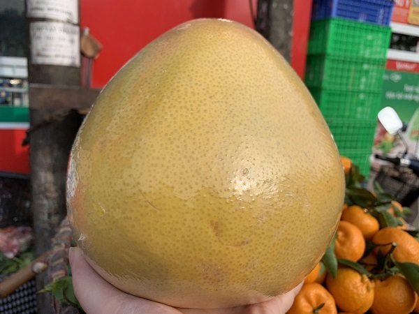 Bưởi lạ khổng lồ, vỏ vàng bóng, bọc kín nilon tràn về chợ Việt
