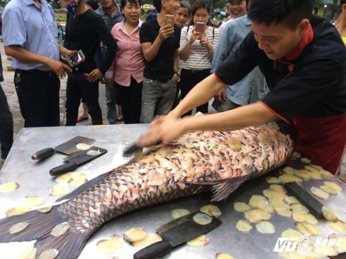 Những loài cá 'đắt như vàng' luôn được săn lùng Những loài cá 'đắt như vàng' luôn được săn lùng