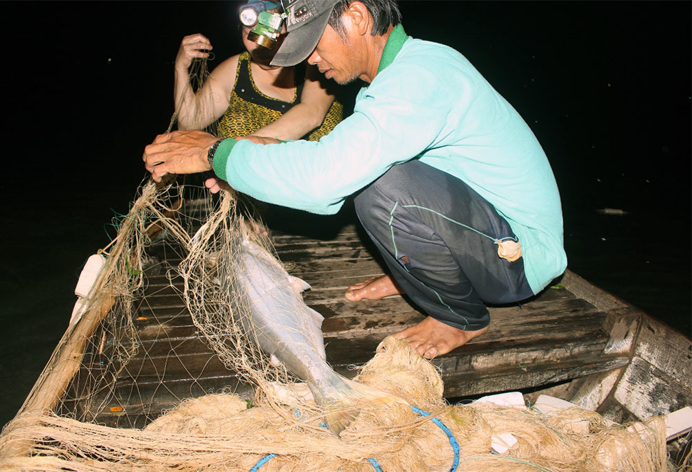 'Nhân sâm nước' của hiếm miền Tây: Cuộc đi săn trắng đêm