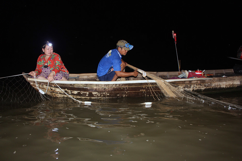 'Nhân sâm nước' của hiếm miền Tây: Cuộc đi săn trắng đêm