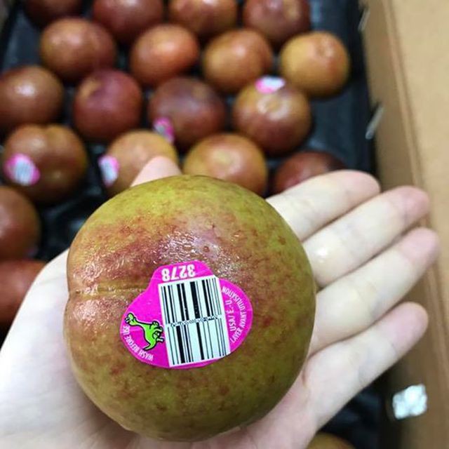 Mận khủng long nhập khẩu Úc to như quả đấm, chị em tranh nhau mua ăn để giảm cân - Ảnh 1. Mận khủng long nhập khẩu Úc to như quả đấm, chị em tranh nhau mua ăn để giảm cân - Ảnh 1.