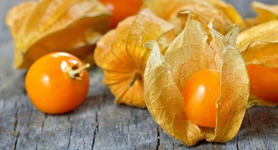 Ở Việt Nam mọc dại đầy đường, sang Nhật bán trong siêu thị gần triệu đồng/kg Ở Việt Nam mọc dại đầy đường, sang Nhật bán trong siêu thị gần triệu đồng/kg