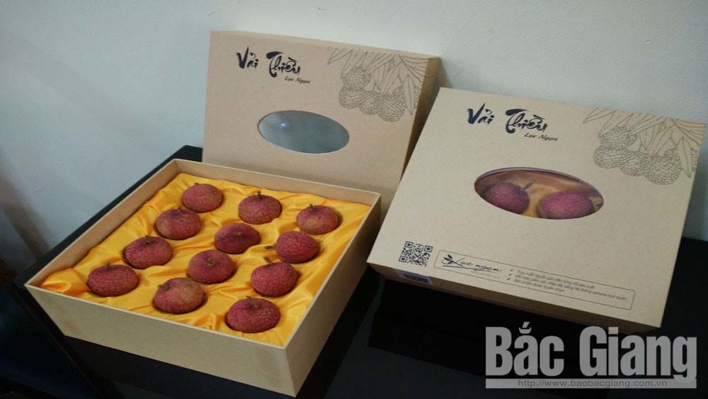 Giữa đất Lục Ngạn, 12 quả vải giá 200 ngàn vẫn phải cười tươi