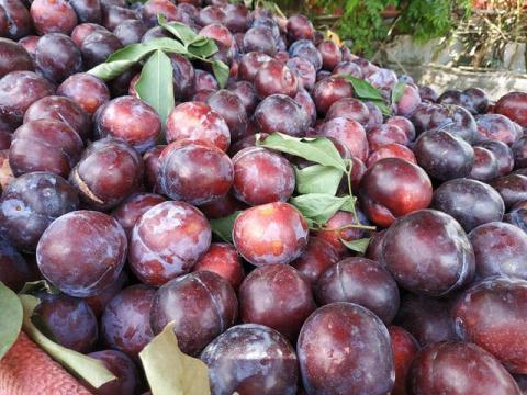 Bán hoa quả Trung Quốc nói hàng Việt: 'Tội gì không nói' Bán hoa quả Trung Quốc nói hàng Việt: 'Tội gì không nói'