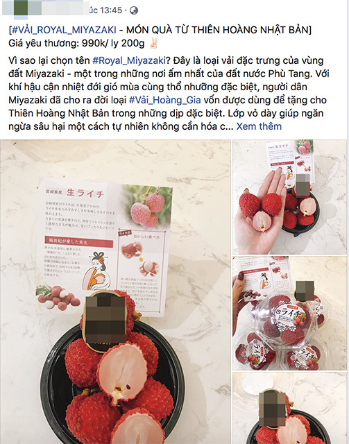 Vải thiều Nhật Bản 1 triệu/6 quả vẫn đắt hàng ở Việt Nam