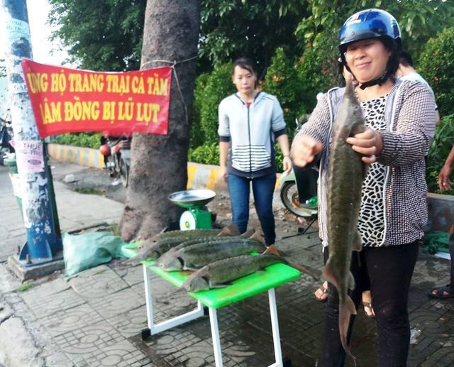 Cherry Mỹ rẻ chưa từng có, đào Tây Ban Nha hoá ra hàng Tàu