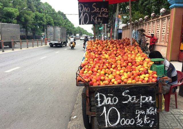 Đào, nho, mận Trung Quốc gắn mác Việt bán tràn ngập nhiều phố Sài thành Đào, nho, mận Trung Quốc gắn mác Việt bán tràn ngập nhiều phố Sài thành