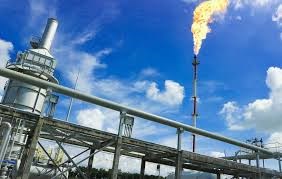 PV Gas lợi nhuận quí III giảm 30% - Ảnh 1