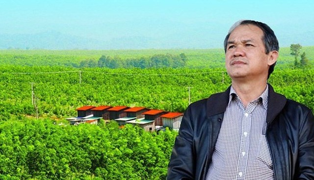 Ông Trần Bá Dương trở thành Chủ tịch HAGL Agrico - Ảnh 1