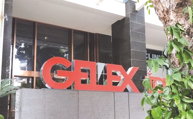 GEX dự kiến bán hơn 6 triệu cổ phiếu quỹ - Ảnh 1
