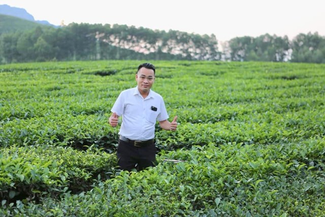 Ông Nguyễn Chung Thủy - Phó Giám đốc Công ty TNHH Xuất nhập khẩu Giang Sỹ trong chuyến thực tế về vùng nguyên liệu chè tại tỉnh Phú Thọ (Ảnh: Xuân Sỹ)