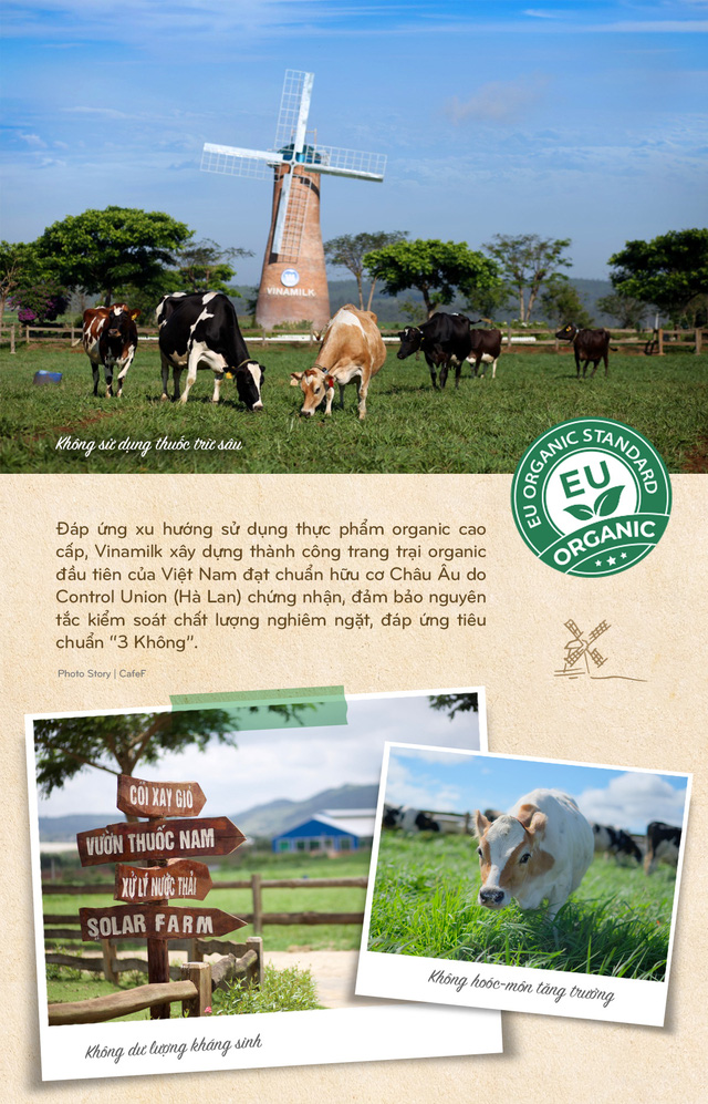 Vinamilk: 15 năm xây dựng hệ thống trang trại của triệu phú sữa tươi Việt Nam - Ảnh 9.