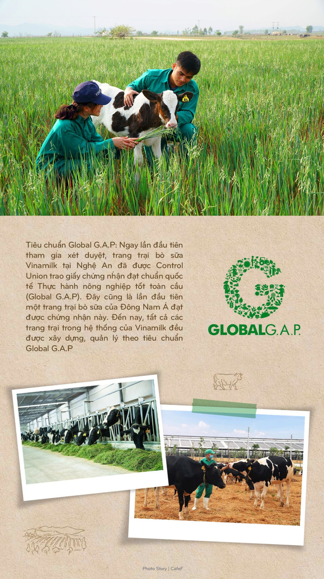 Vinamilk: 15 năm xây dựng hệ thống trang trại của triệu phú sữa tươi Việt Nam - Ảnh 10.