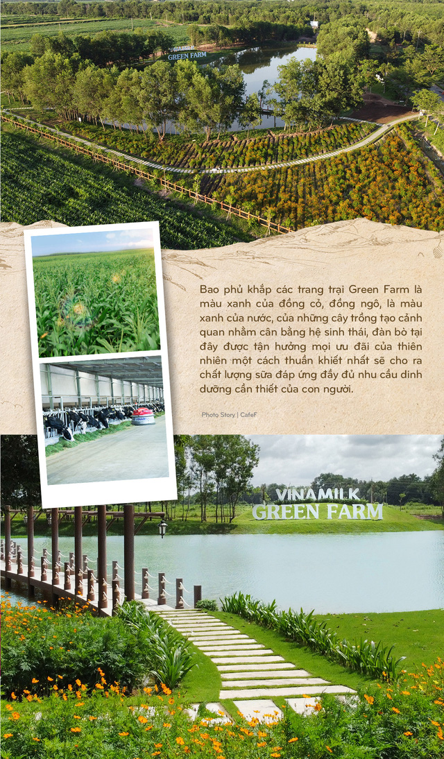 Vinamilk: 15 năm xây dựng hệ thống trang trại của triệu phú sữa tươi Việt Nam - Ảnh 11.