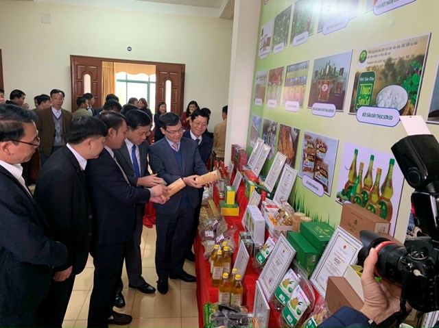 Sản phẩm chè Ngọc Thúy của Hợp tác xã Dịch vụ Nông nghiệp Sử Anh (Yên Sơn) đã được chứng nhận nhãn hiệu hàng hóa.