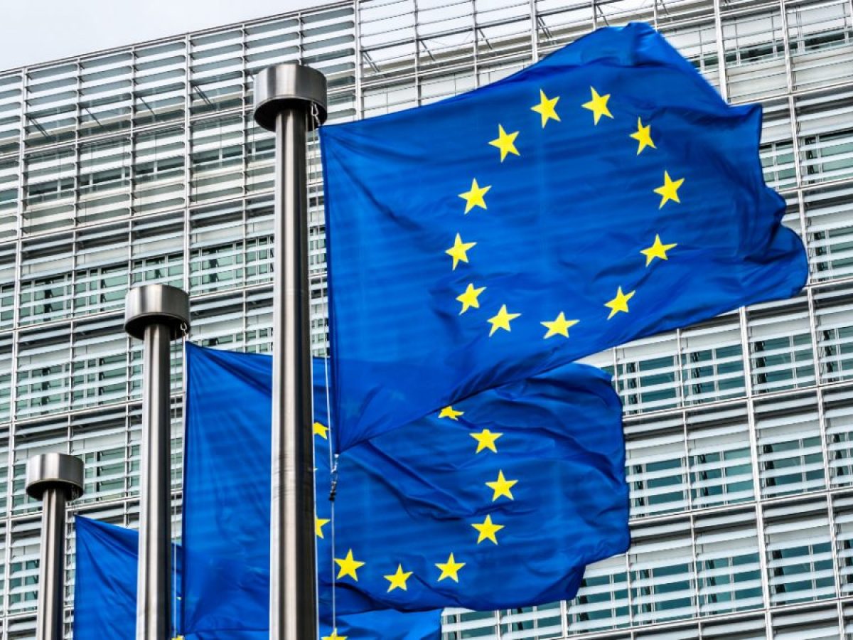 Cơ quan quản lý EU cảnh báo: Đầu tư tiền điện tử có thể mất trắng - Ảnh 1.