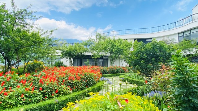 Một góc xinh đẹp với muôn vàn sắc hoa điểm xuyết rực rỡ trên thảm cỏ xanh mơn mởn của khách sạn