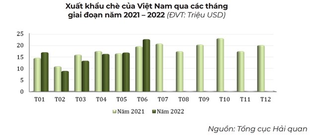 Thị phần chè của Việt Nam giảm mạnh trong tổng lượng nhập khẩu của Anh - Ảnh 1